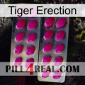 Tiger Erection 10